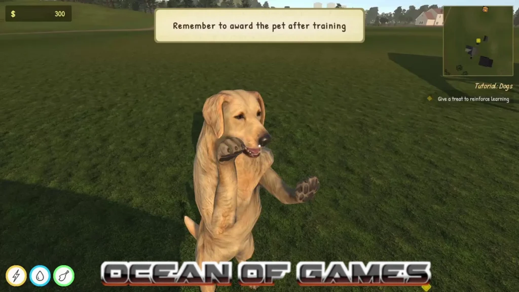 Animal Trainer Simulator Torrent