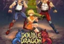 Double Dragon Gaiden Rise Of The Dragons